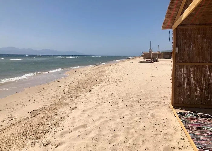 Baywatch Camp
